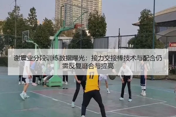 谢震业分段训练数据曝光：接力交接棒技术与配合仍需反复磨合与提高